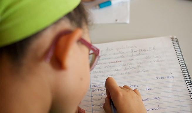 Desigualdades socioeconómicas y rendimiento académico en España